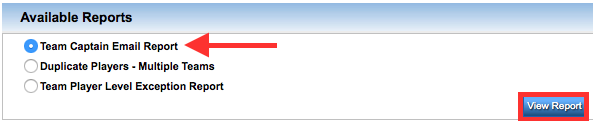 TeamCaptainEmailReport